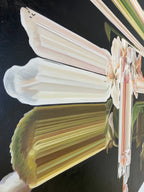 Calida (2021) Alexis Mata